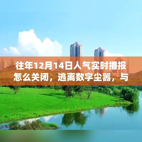 如何關閉人氣實時播報，尋找自然美景之旅，逃離數字塵囂的指南