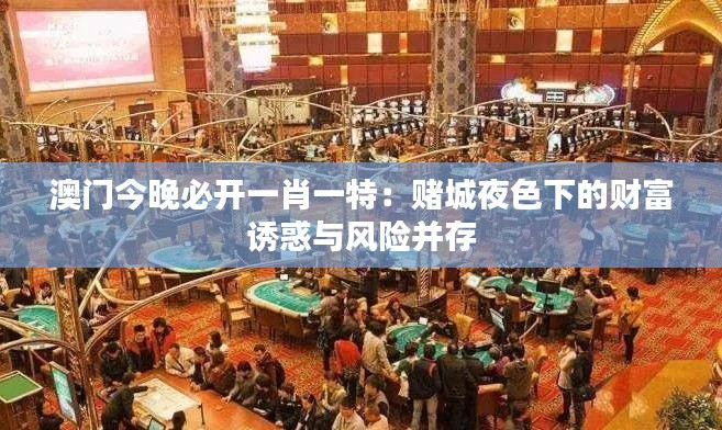 澳門今晚必開一肖一特：賭城夜色下的財富誘惑與風險并存