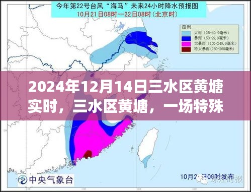 三水區(qū)黃塘，特殊時(shí)刻的回顧與記錄（2024年12月14日）