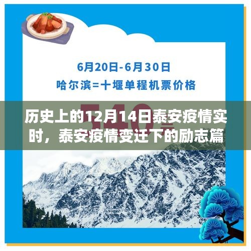 泰安疫情變遷下的勵志篇章,學(xué)習(xí)之光照亮未來之路的抗疫歷程