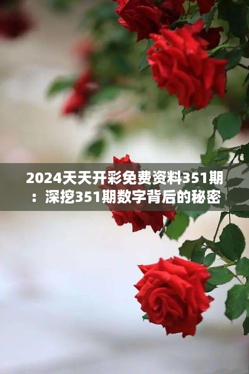 2024天天開彩免費資料351期:深挖351期數字背后的秘密