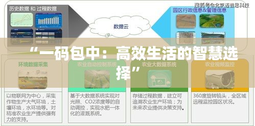 打張雞兒 第4頁