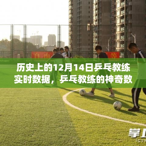 乒乓教練的神奇數據日，歷史回顧與溫馨故事