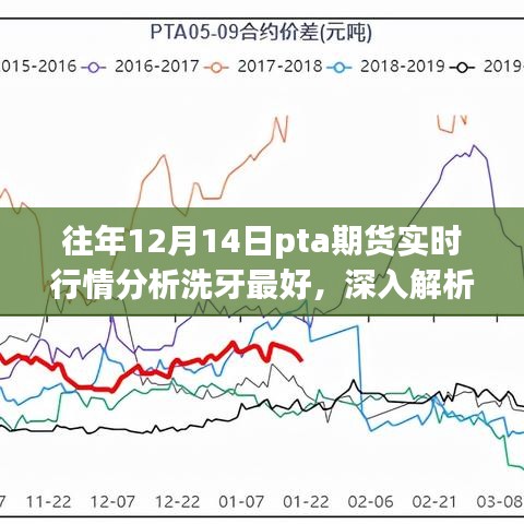 往年12月14日PTA期貨實時行情深度解析與洗牙產品體驗報告