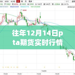 往年12月14日PTA期貨實時行情深度解析與洗牙產品體驗報告