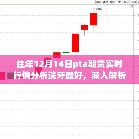 往年12月14日PTA期貨實時行情深度解析與洗牙產品體驗報告