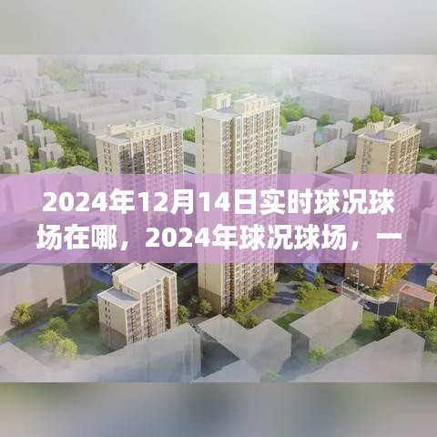 歷史與未來的交匯，揭秘2024年球況球場實時動態與地點