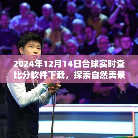 臺球實時查比分軟件下載，與自然美景同行，探索內心平靜之旅