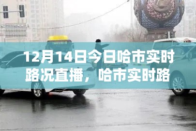 哈爾濱實時路況直播,直擊街頭實況,掌握路況信息(12月14日)