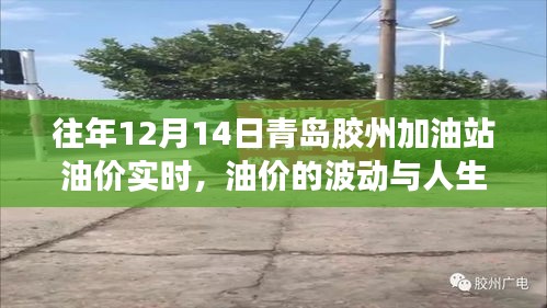 青島膠州加油站油價實時動態，波動中的人生啟示與自信閃耀的挑戰之路