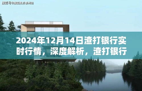 深度解析,渣打銀行實時行情體驗與評測報告(2024年12月14日版)