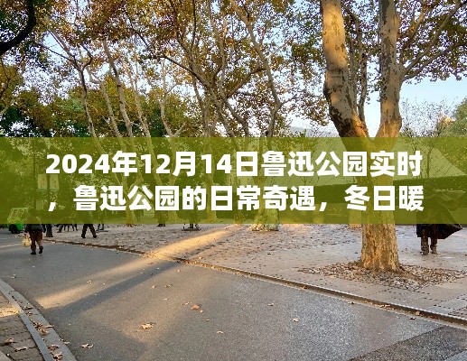 魯迅公園冬日暖陽下的日常奇遇與溫馨時光紀實(實時更新)