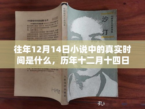 歷年十二月十四日小說中的時(shí)間深度解析，特性、體驗(yàn)、競品對比與用戶群體分析