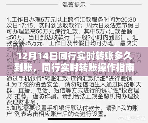 同行實時轉賬詳解,操作指南與到賬時間(適用于初學者與進階用戶)