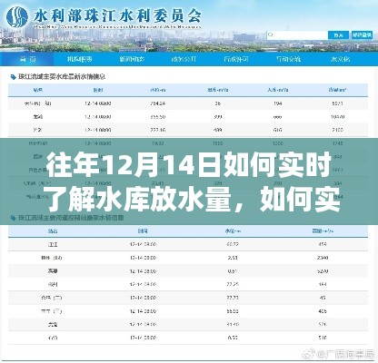 往年12月14日水庫實時放水量查詢,詳細步驟指南