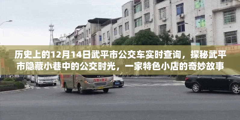 武平市公交探秘，歷史實(shí)時(shí)查詢與隱藏小巷的公交時(shí)光之旅特色小店故事