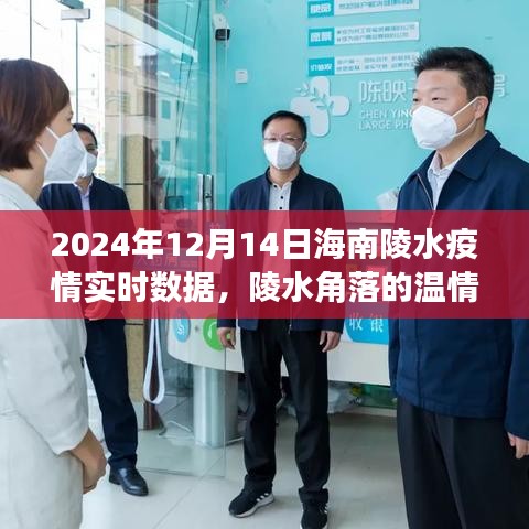 海南陵水疫情下的溫情角落，愛與陪伴的日常故事（實時數據報告）