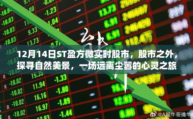 ST盈方微股市輕語,探尋自然美景的心靈之旅,啟程于股市之外