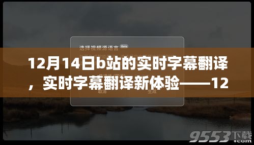12月14日B站實時字幕翻譯新體驗，深度評測與功能探索