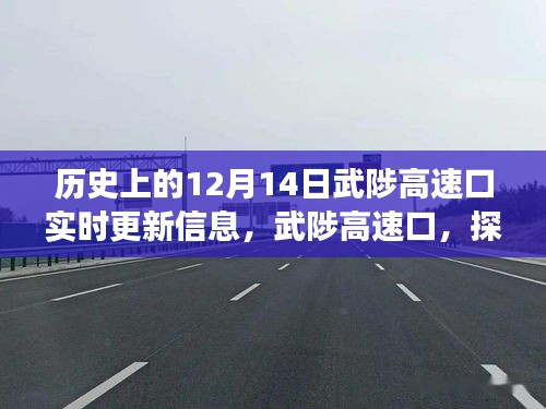 武陟高速口,探尋自然美景的啟程之地,揭秘歷史與未來,奇妙旅程盡在12月14日