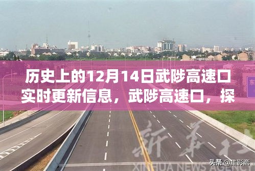 武陟高速口，探尋自然美景的啟程之地，揭秘歷史與未來，奇妙旅程盡在12月14日