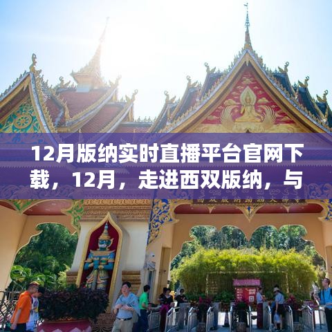 西雙版納實時直播平臺官網下載盛況回顧,與大自然共舞,體驗直播魅力