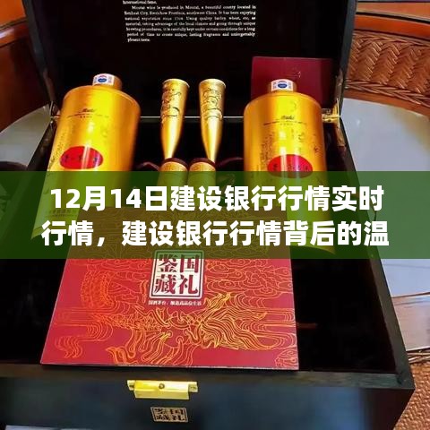 建設(shè)銀行行情背后的故事，特殊行情之旅揭秘溫馨故事（12月14日實(shí)時(shí)行情）