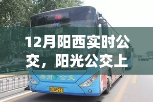 12月陽西之旅,陽光公交上的暖心日常實時公交指南