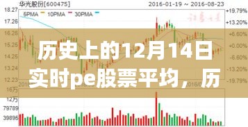 探尋PE股票背后的自然秘境之旅,歷史上的12月14日實時平均數據解析
