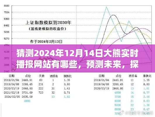 預測未來,探索大熊實時播報網站在2024年12月14日的形態