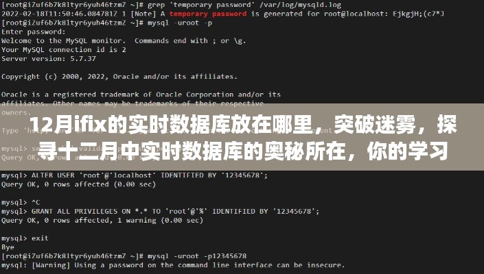 探尋十二月實時數據庫位置,學習之旅啟程