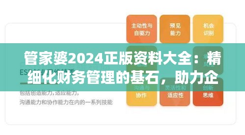 管家婆2024正版資料大全：精細(xì)化財務(wù)管理的基石，助力企業(yè)穩(wěn)健發(fā)展