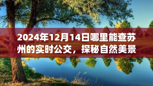 2024年蘇州實時公交指南,探秘自然美景與尋找心靈驛站