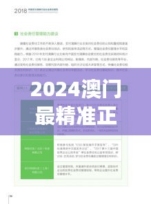 2024澳門最精準正版免費大全：健康與社會責任行業報告