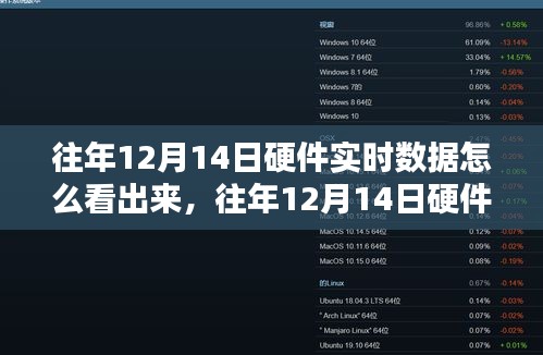 往年12月14日硬件實時數據深度解析,特性、體驗、競品對比與用戶洞察評測報告