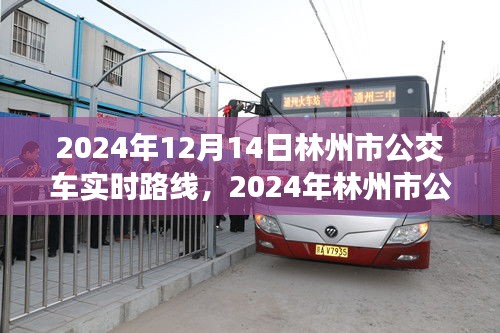 2024年林州市公交車實時路線指南，12月14日最新路線