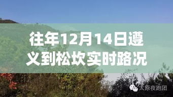 遵義松坎之旅，自然懷抱中的心靈寧?kù)o與實(shí)時(shí)路況查詢