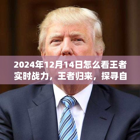 王者歸來,探尋自然美景之旅與解鎖內心平靜之力,實時戰力指南(2024年12月14日)