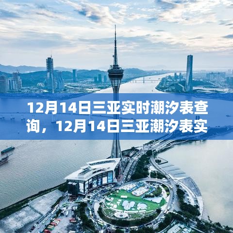 12月14日三亞潮汐表實時查詢攻略,從新手到進階的全方位教程