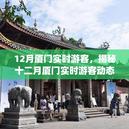揭秘十二月廈門游客動態(tài),旅游熱點、特征與活動亮點