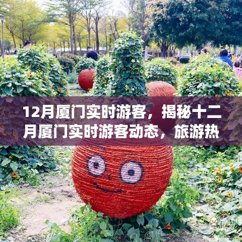 揭秘十二月廈門游客動態(tài)，旅游熱點(diǎn)、特征與活動亮點(diǎn)
