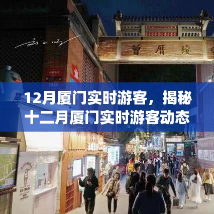 揭秘十二月廈門游客動態(tài),旅游熱點、特征與活動亮點