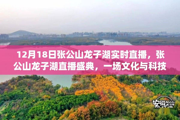 張公山龍子湖直播盛典，文化與科技的璀璨交融之夜
