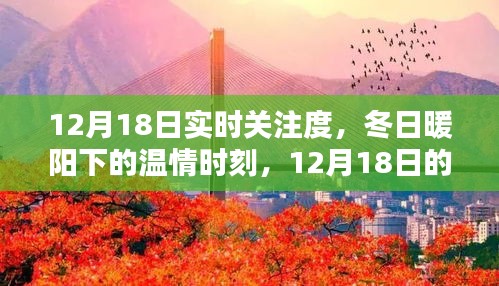 12月18日實時關注，冬日暖陽下的溫情時刻