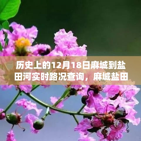 麻城鹽田河,一條路上的故事與溫情——實時路況查詢記錄