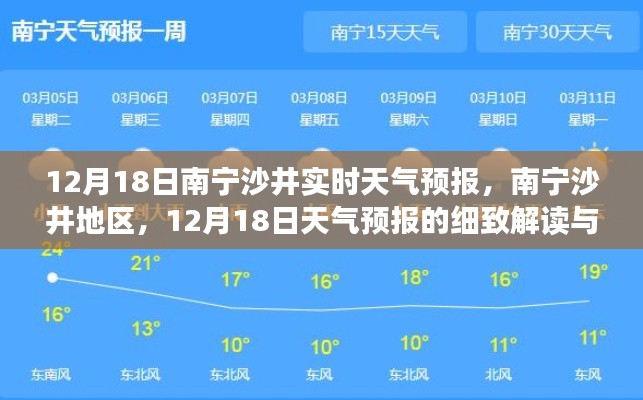 南寧沙井地區天氣預報解讀,12月18日天氣洞察與影響分析