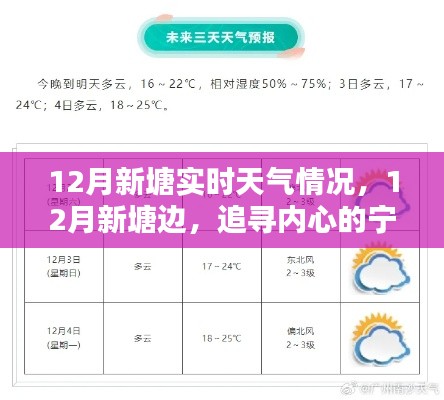 12月新塘實時天氣探索，追尋內心的寧靜與自然微笑