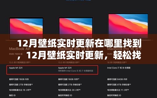 12月壁紙實時更新攻略,輕松找到并設置精美壁紙的步驟指南