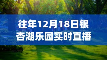 重溫銀杏湖樂園夢(mèng)幻之旅,往年12月18日直播盛典回顧