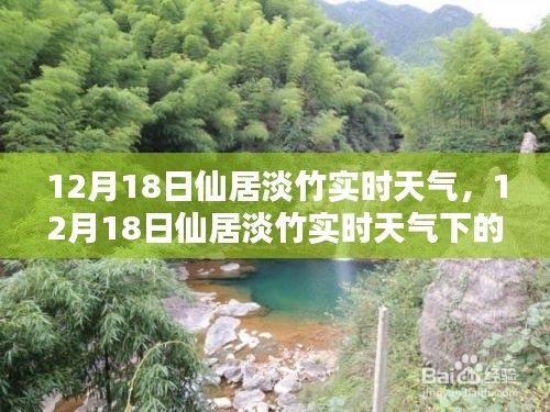12月18日仙居淡竹實(shí)時(shí)天氣分析與氣候探討
